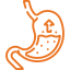 gastrico